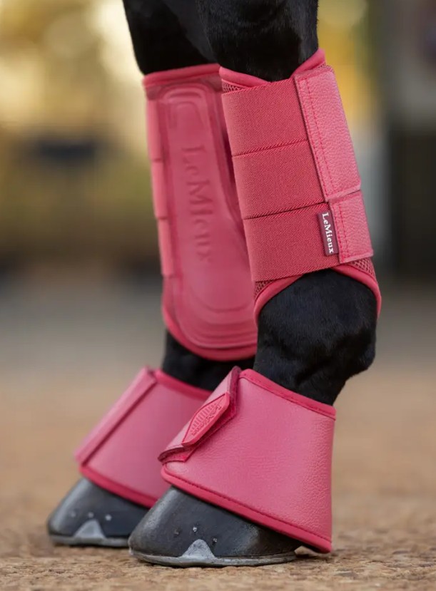 ���ꥫ�������С��꡼�����֡���