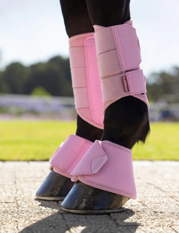 ���ꥫ�������С��꡼�����֡���