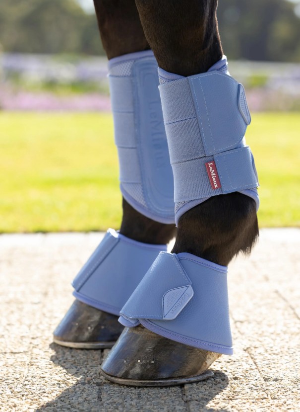 ���ꥫ�������С��꡼�����֡���