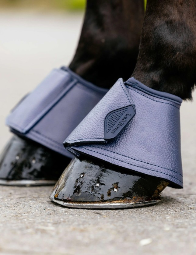 ���ꥫ�������С��꡼�����֡���