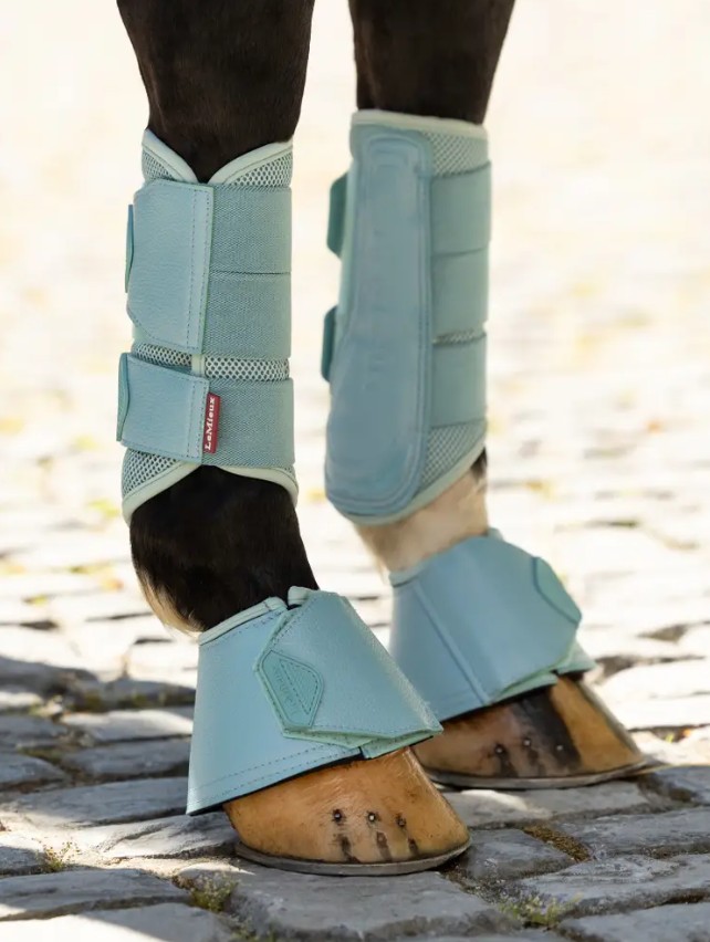 ���ꥫ�������С��꡼�����֡���