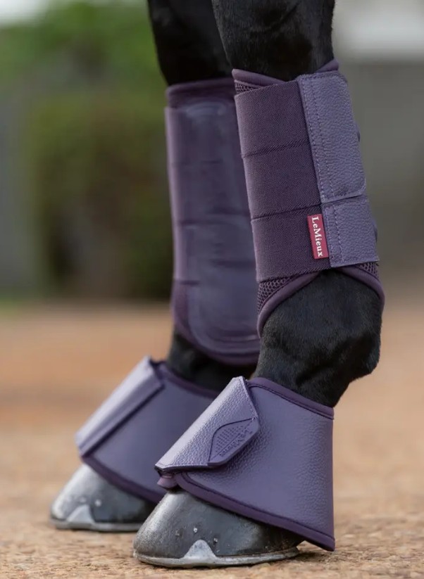 ���ꥫ�������С��꡼�����֡���