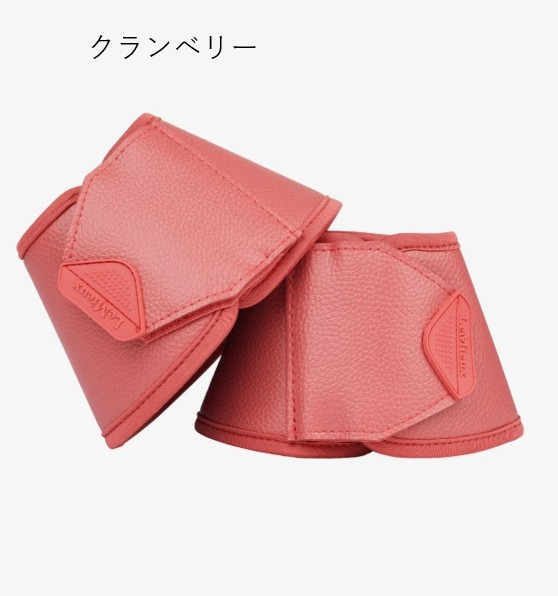 ���ꥫ�������С��꡼�����֡���