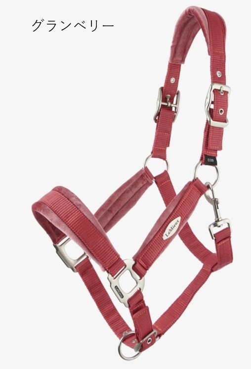 �٥륵���桦�إåɥ��顼