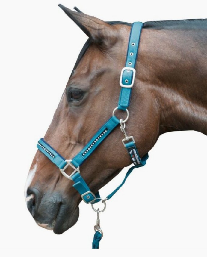 HKMإåɥ顼åȡꥹ롡