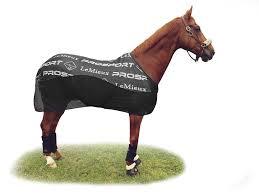 �����顼�饰�������ܥ�