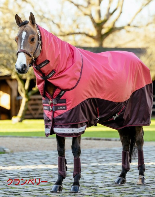 ߥ塡ꥫåץȥåס200gȥɥ饰