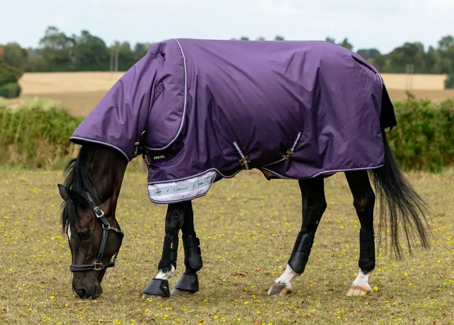 ߥ塡ꥫåץȥåס200gȥɥ饰