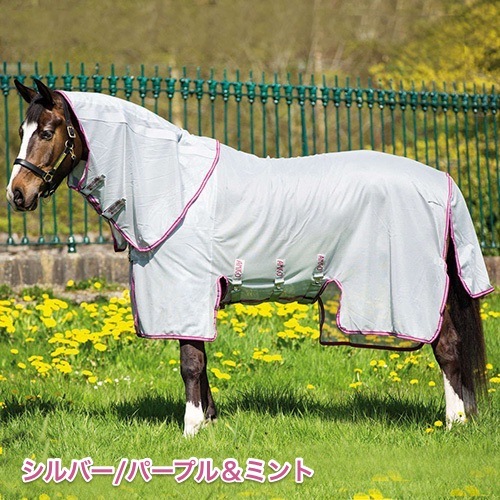 ���ߡ��� �Х��Х�����