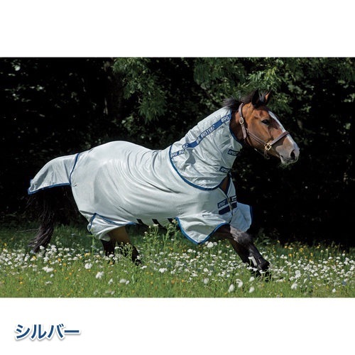 ���ߡ��� �Х��Х�����