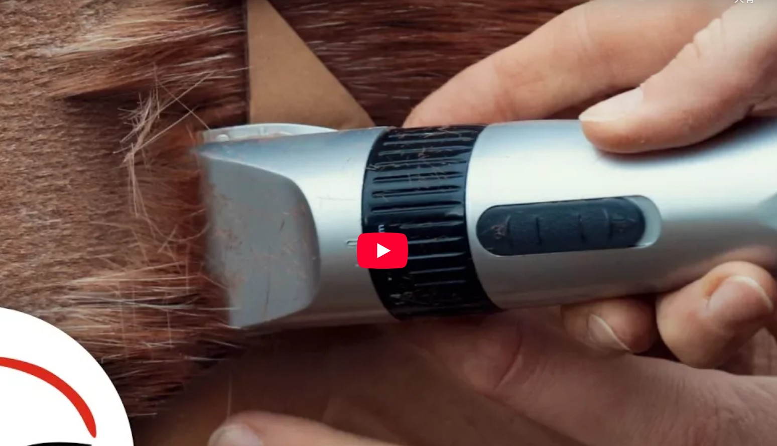 åѡ ץ Хåƥ꡼åȡĶ