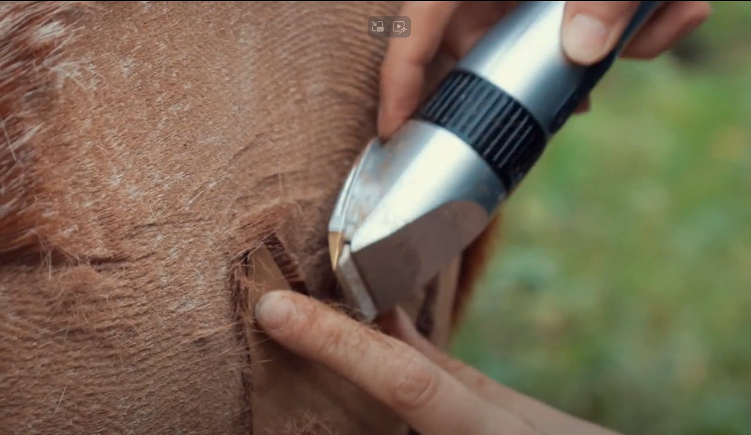 åѡ ץ Хåƥ꡼åȡĶ