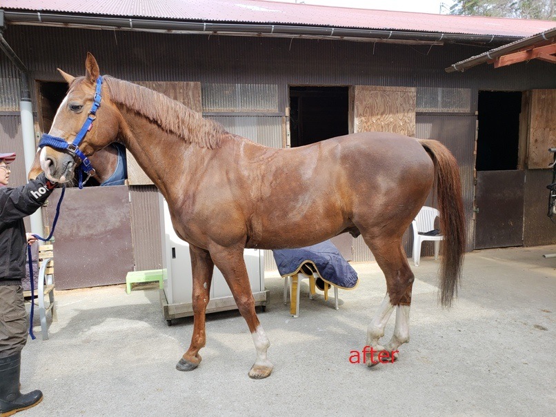 K9 �������٥顡�����ס�