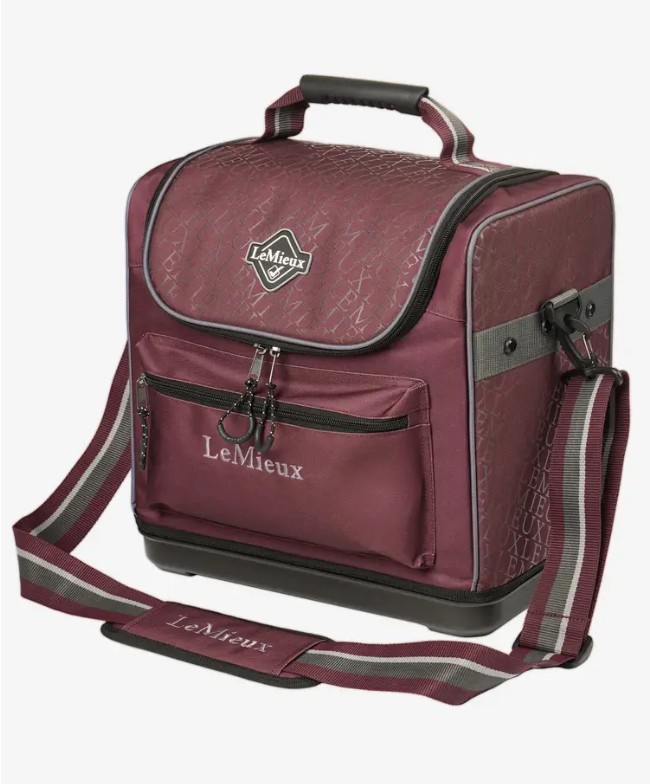 ���꡼�ȥץ������롼�ߥ󥰥Хå� 