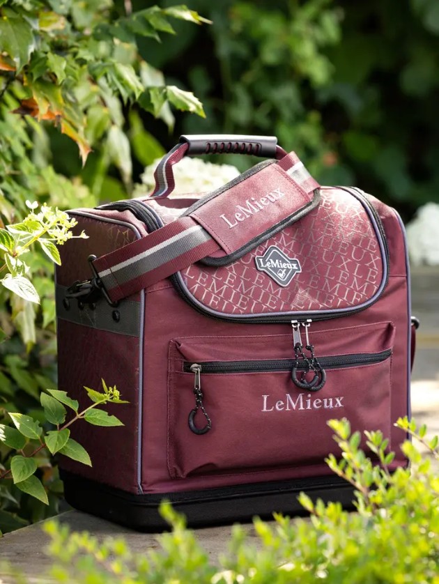 ���꡼�ȥץ������롼�ߥ󥰥Хå� 