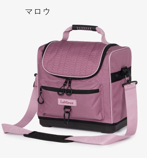 ���꡼�ȥץ������롼�ߥ󥰥Хå� 