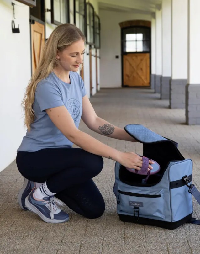 ���꡼�ȥץ������롼�ߥ󥰥Хå� 