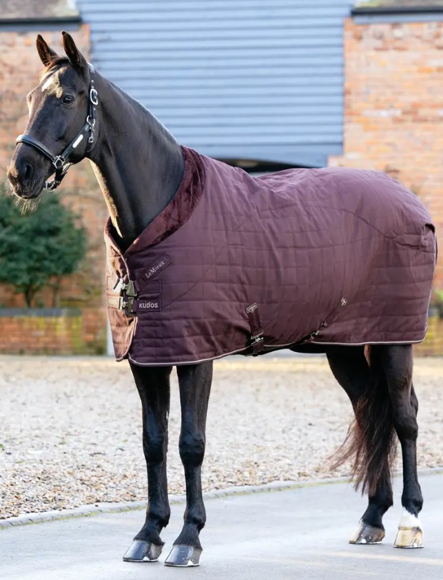 ��ߥ塡�����ɥ��� ��å������饤�˥� ���ơ��֥�饰