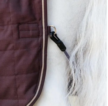 ��ߥ塡�����ɥ��� ��å������饤�˥� ���ơ��֥�饰