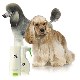 K9 �������٥顡�ʥΡ����ץ졼�ʸ��ѡ�