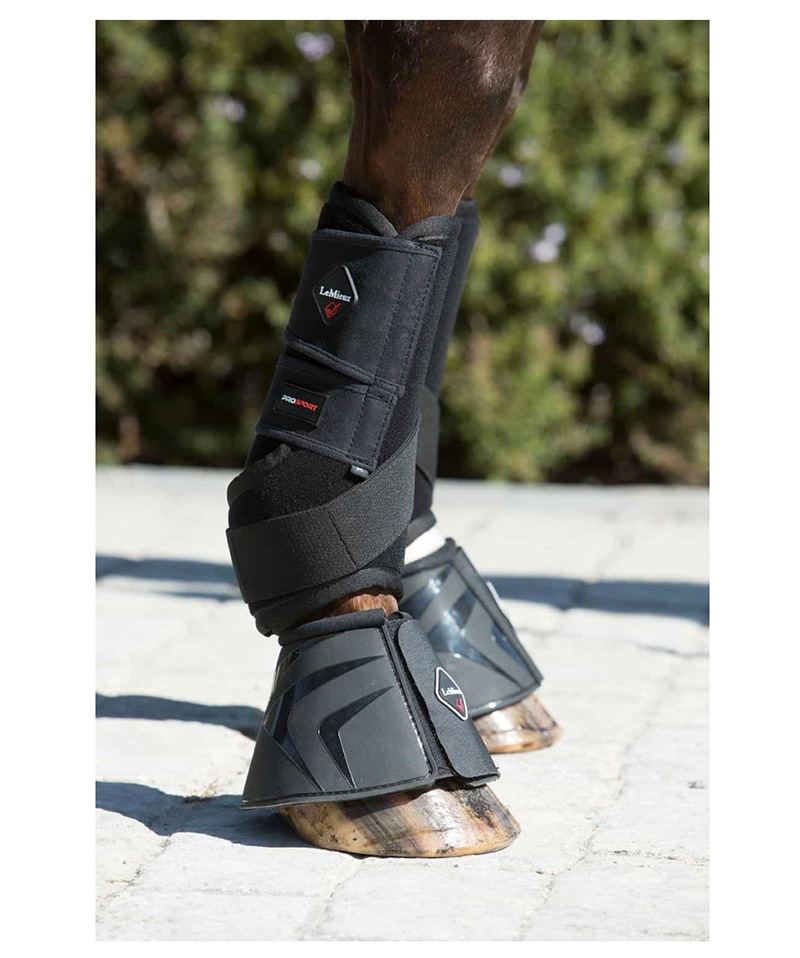 ��ߥ塡����ȥ饵�ݡ��ȥ֡���