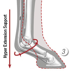 ��ߥ塡����ȥ饵�ݡ��ȥ֡���