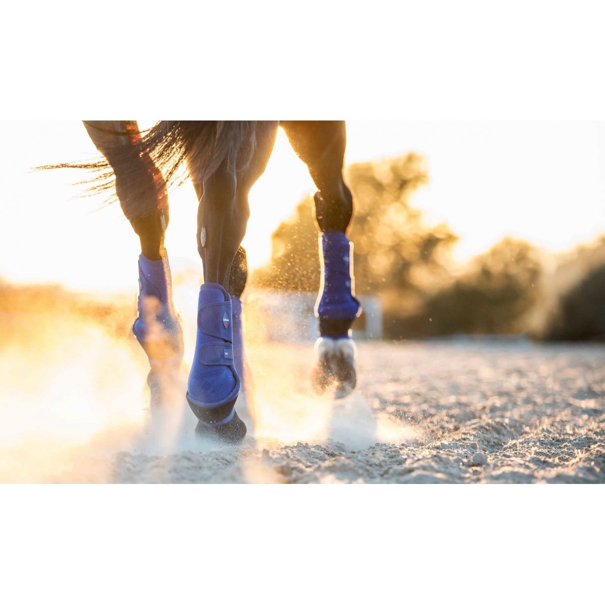 ��ߥ塡����ȥ饵�ݡ��ȥ֡���