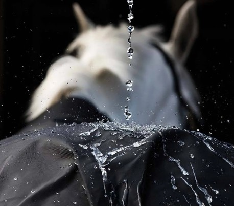 ���ߡ������ե�����ɥ����գ�����g