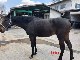 K9  �ҥɥ顡�������ܡ�����ǥ�����ʡ�