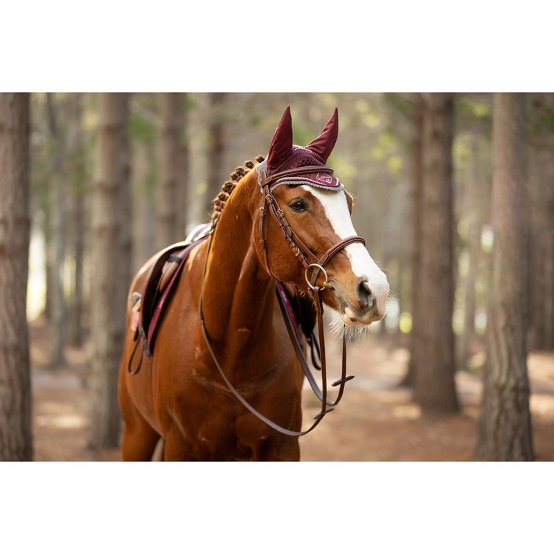 ��ߥ塡����å��å��ե饤�ա���