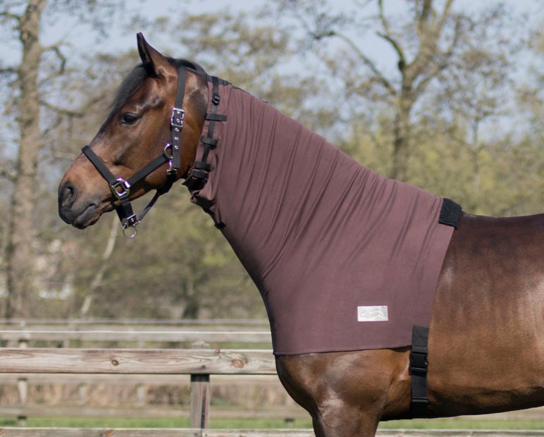 �������ޡ��ͥå����С�