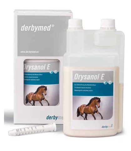 ARK/ ���ꥶ�Ρ��롡E�ʶ�����������ǽUP��