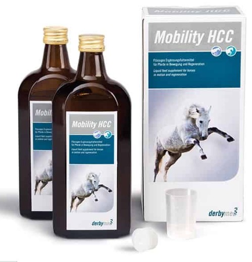 ARK/ ��ӥ�ƥ���HCC���ʴ����ư�襵�ݡ���