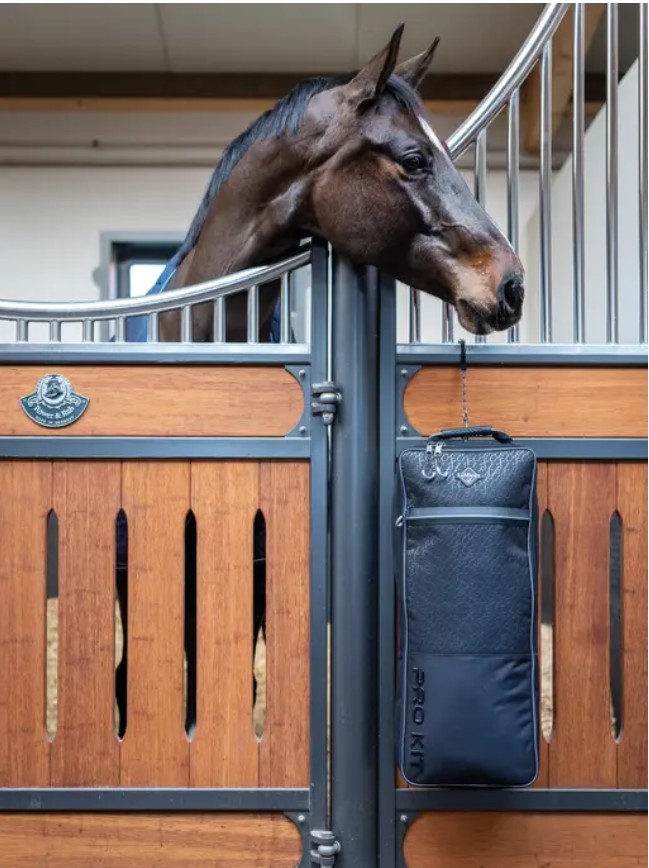 ��ߥ塡���꡼�ȥץ����֥饤�ɥ�Хå�