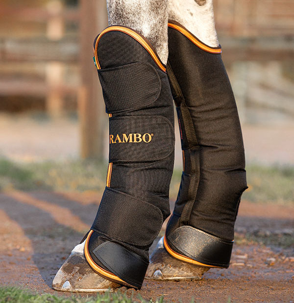 ���ܡ� �ȥ�٥�֡���