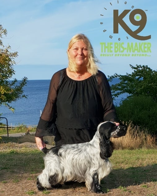 K9 ���ơ���󥰥���С������ס��ʸ��ѡ�