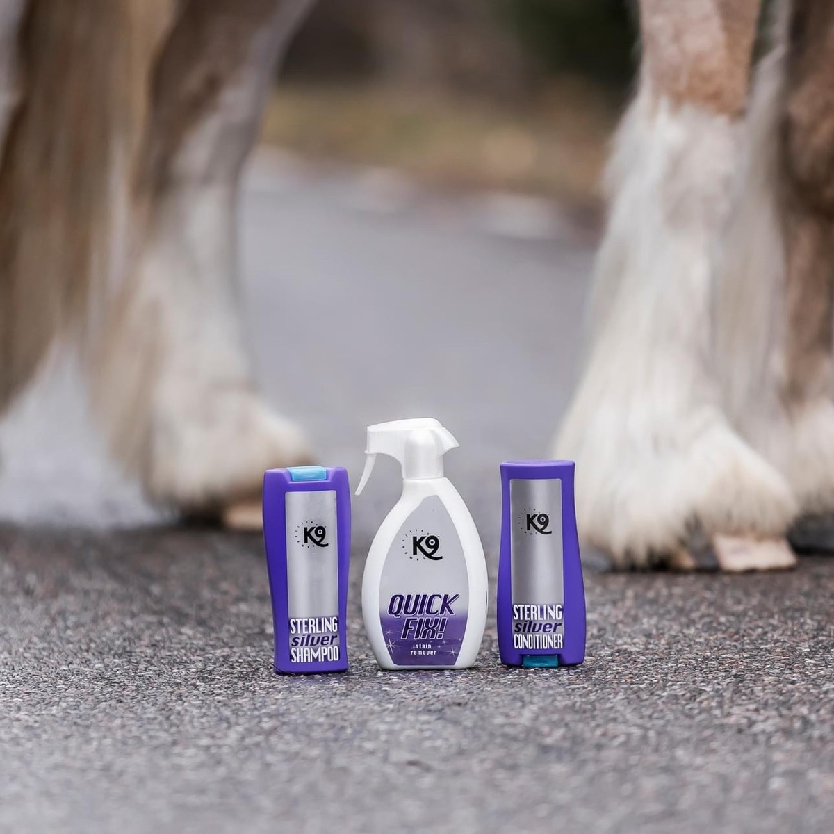 K9�������å��ե��å������ץ졼�ʤ������ѡ�