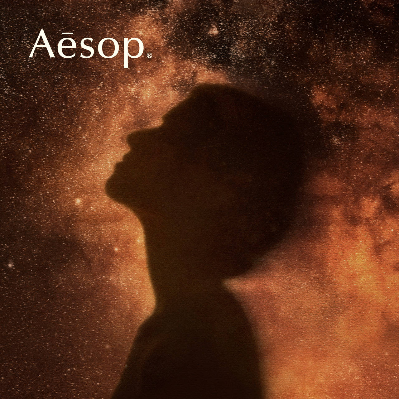 ���Х� ���������ƥ����� �����ɥѥ�ե��ࡿAesop�ʹ���