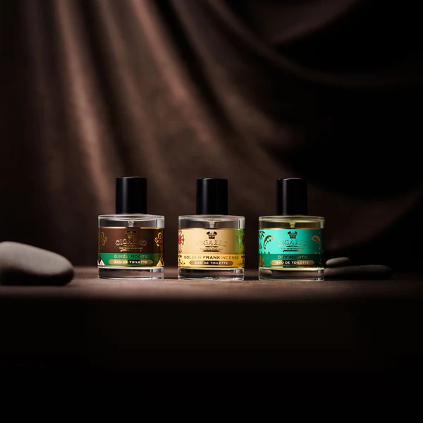 �������������ɥȥ�� ���󥶥롼�ġ�CIGARRO�ʹ���