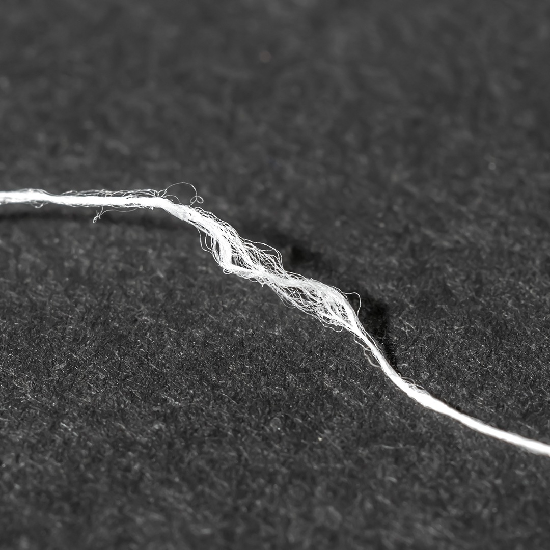 ��������ɥե�����40m�ˡ�ʿ����ʿ��Ź�ʥǥ󥿥�ե�����