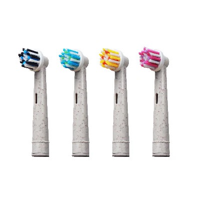 Х֡ư֥饷ؤ֥饷HUMBLE BRUSHؤ֥饷