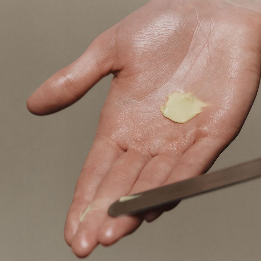 ߡ ե ϥɥ졼ƥ ꡼ࡿAesopʥե꡼