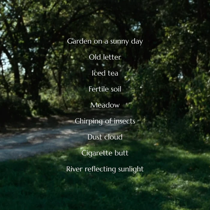 "Madison" �����ɥѥ�ե��� 9ml��MAGNIFF�ʹ���