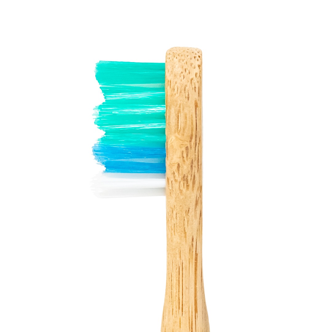 �ץ��ȥ١�����ư���֥饷���ؤ��֥饷��HUMBLE BRUSH���ؤ��֥饷��