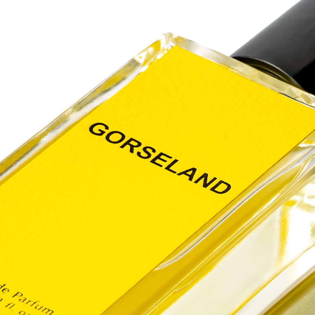 GORSELAND�ʥ������ȥ�ɥ��ѥ�ե���ˡ�JORUM STUDIO�ʹ���