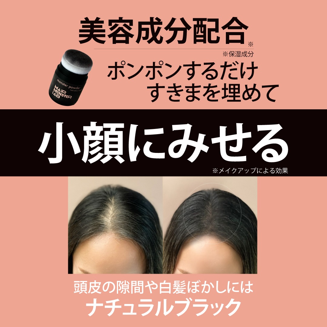 ��󥹥��� �ѥ����� 6g�ʥʥ�����֥�å��ˡ�HAIR MONSTER LAB�ʥإ��ѥ�������