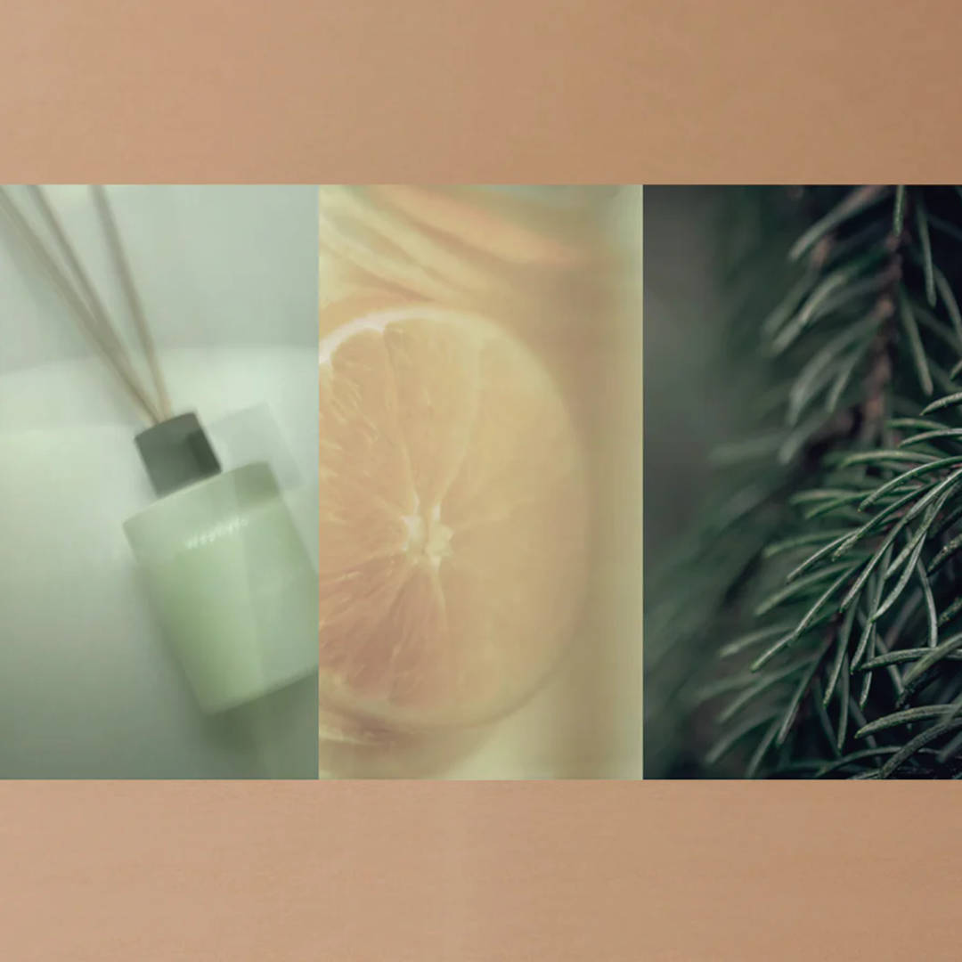 �ޥ���������������å� �꡼�ɥǥ��ե塼������Waphyto�ʥǥ��ե塼������