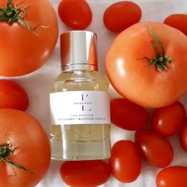 POMODORO EAU FRAICHE��ESSENZA PULSANTE�ʹ���