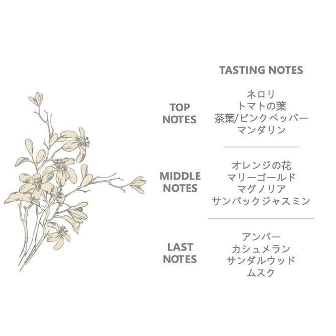 POMODORO EAU FRAICHE��ESSENZA PULSANTE�ʹ���