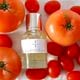 POMODORO EAU FRAICHE��ESSENZA PULSANTE�ʹ���
